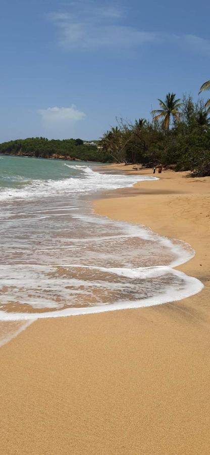 Studio Des Flots - Tartane Martinique La Trinite Ngoại thất bức ảnh