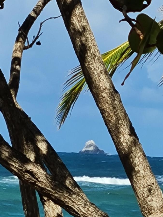 Studio Des Flots - Tartane Martinique La Trinite Ngoại thất bức ảnh